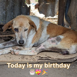 today-is-my-birthday my birthday