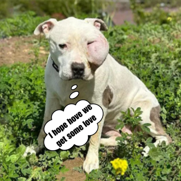 I feel alone on my birthday 