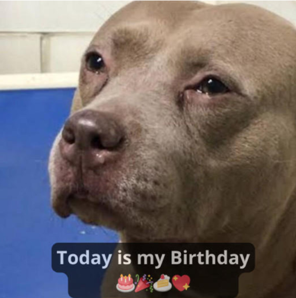 I feel alone on my birthday 