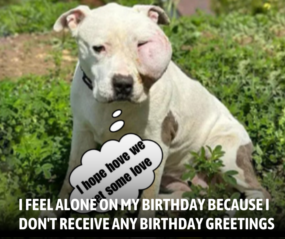 I feel alone on my birthday 