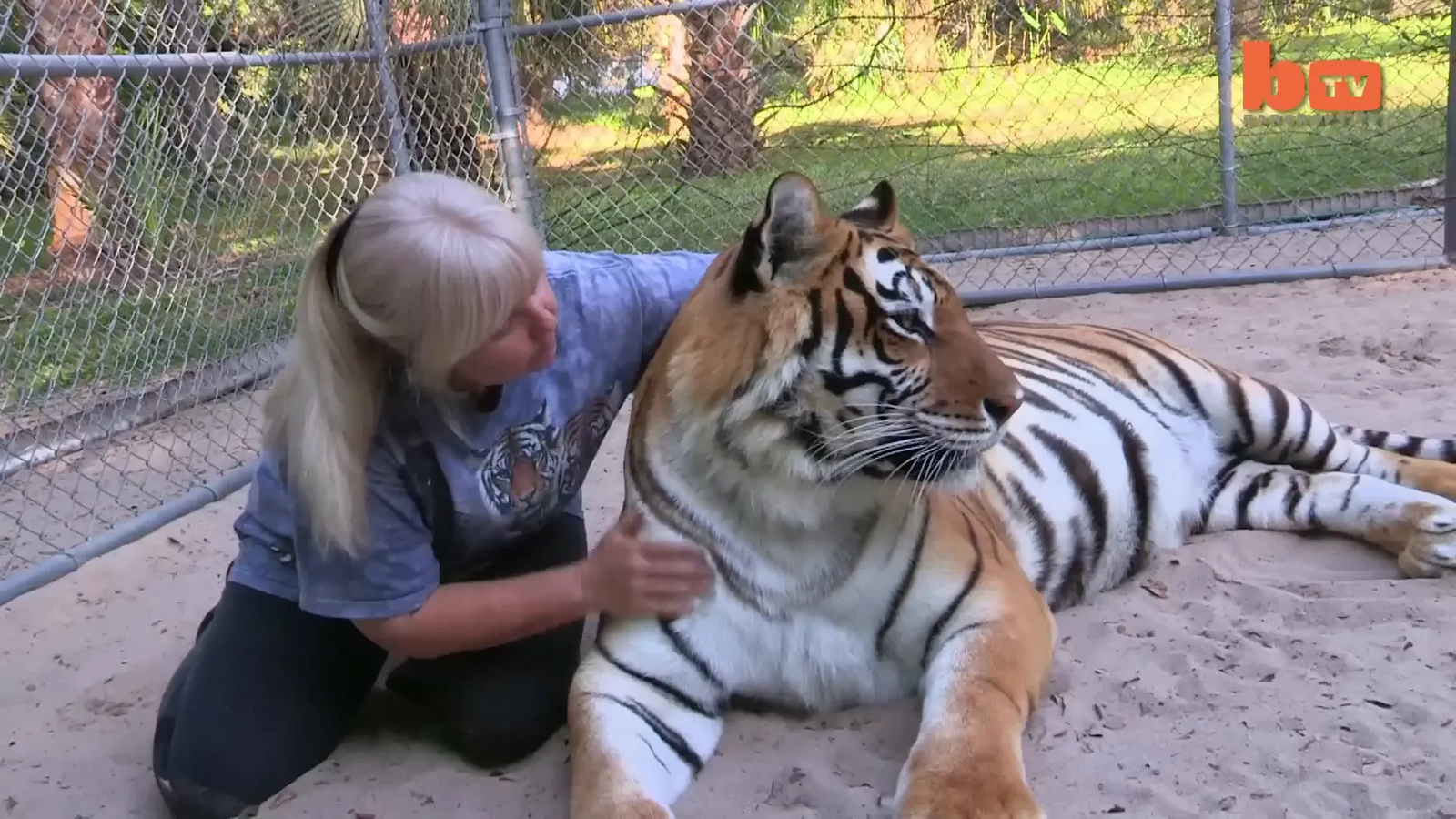 Janice Haley with her Bengal Tigers