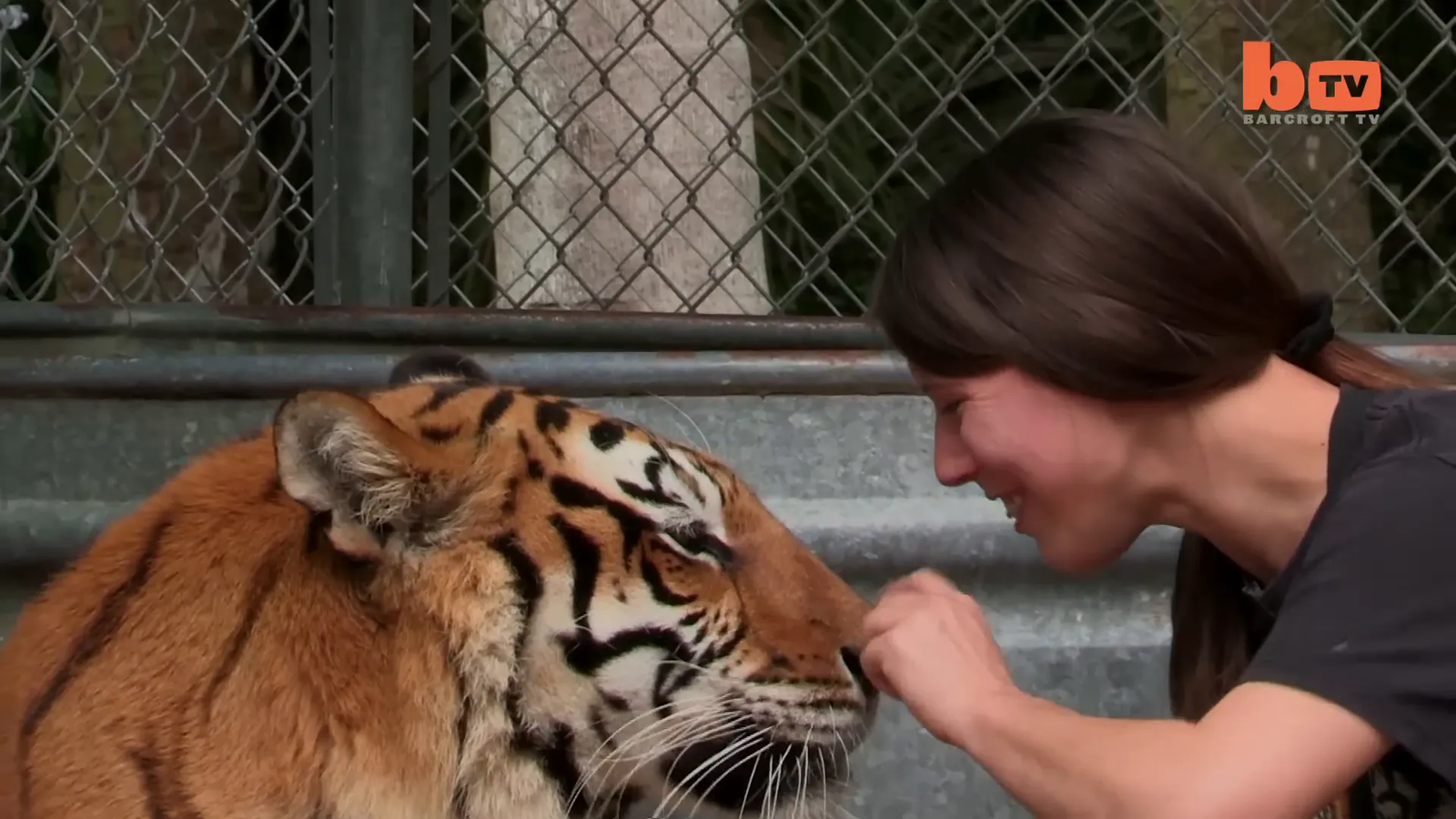 Janice playing with Saba the tiger