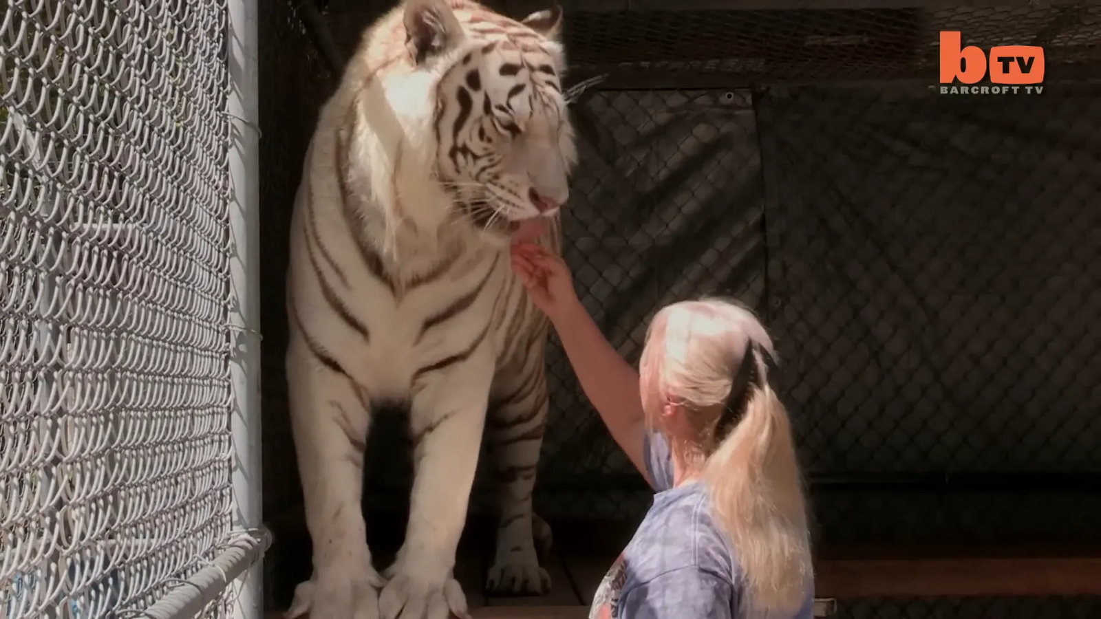 Janice with Janda the tiger