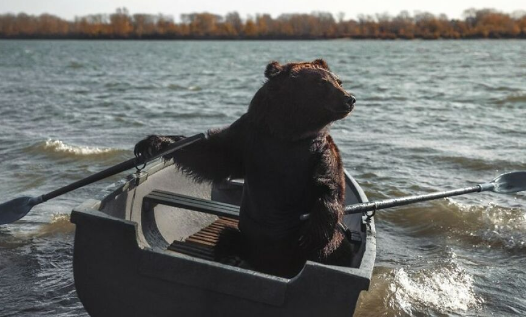 bear (5) Miraculous friendship when a woman saves a bear