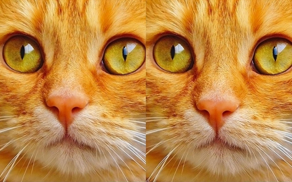 difference