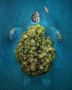 turtle-island-6 Turtle Island