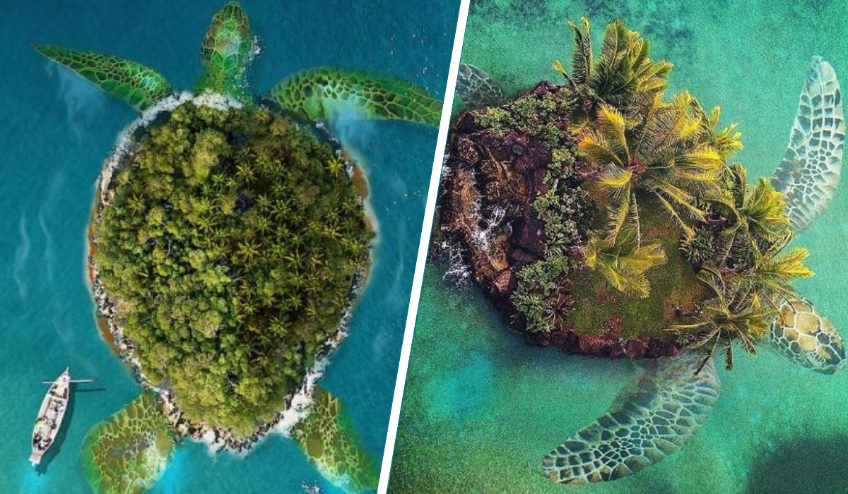 turtle island