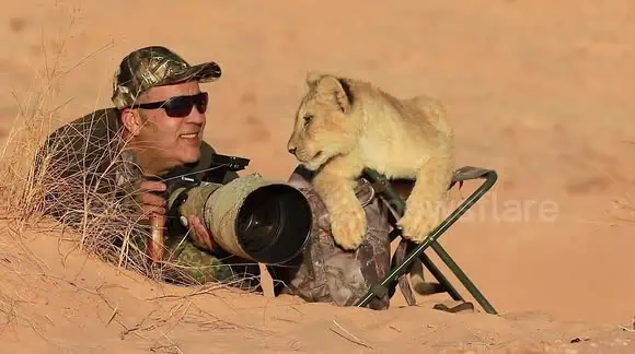 Wildlife Photographer