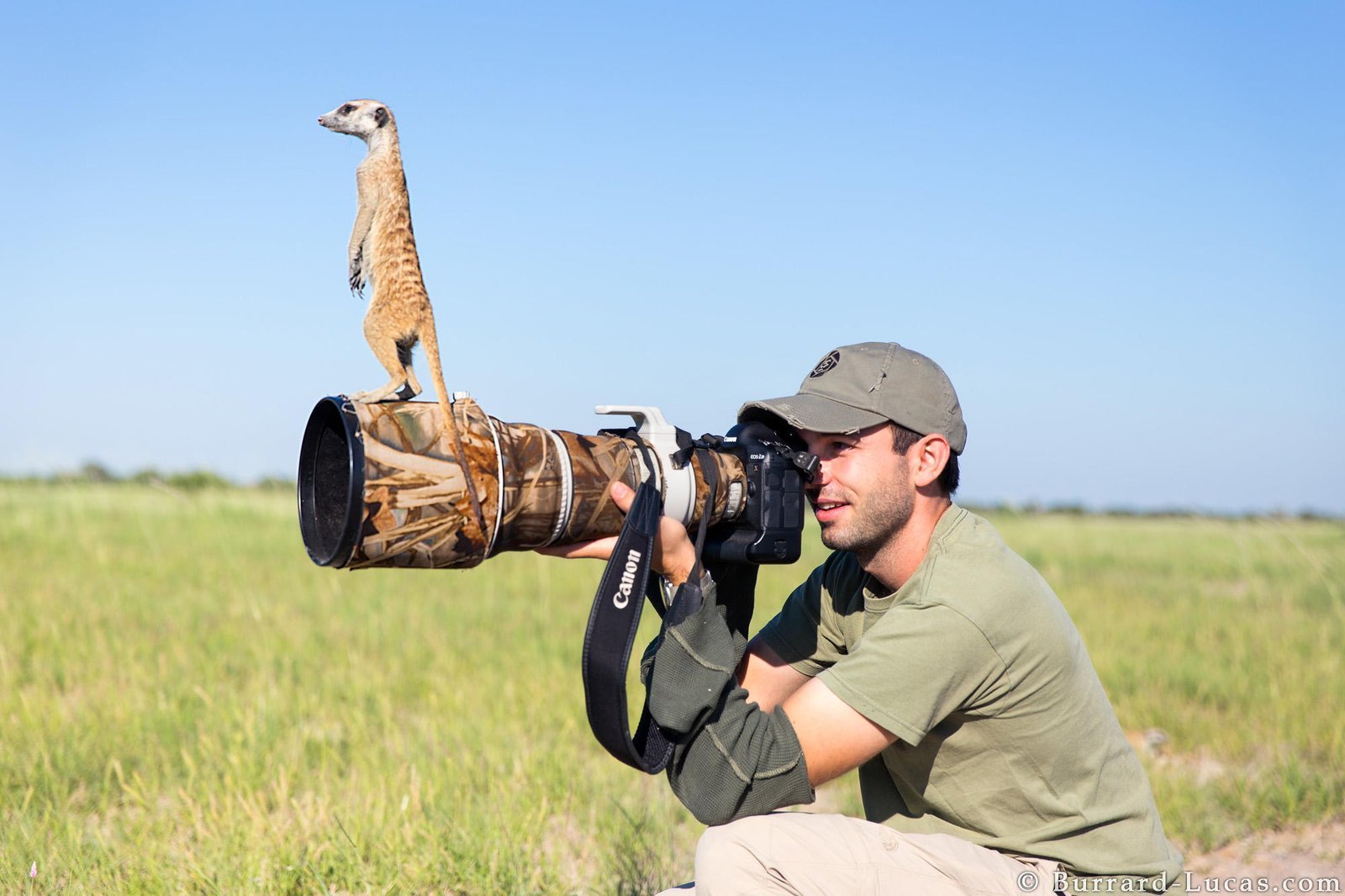 Wildlife Photographer