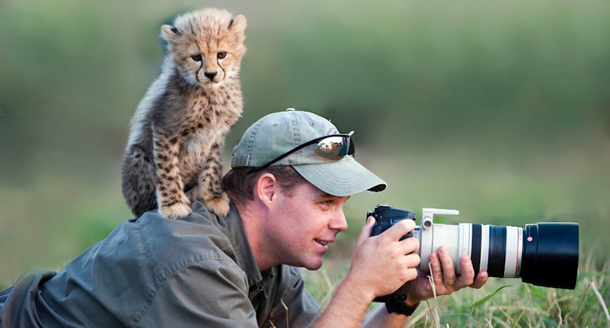 Wildlife Photographer