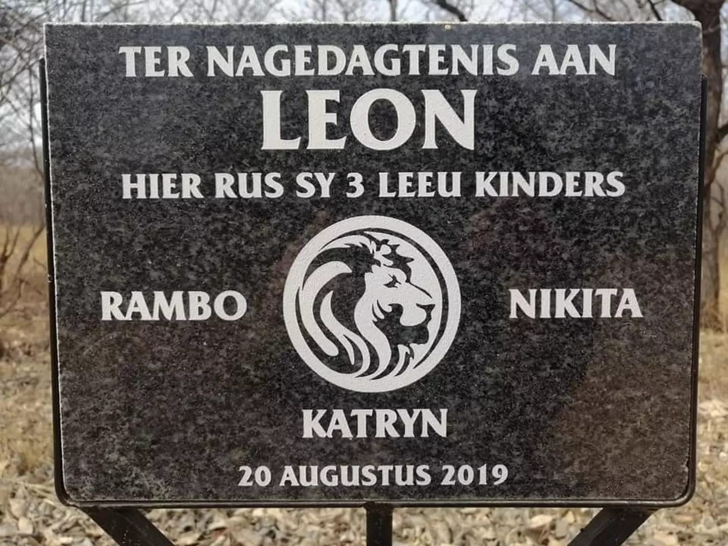 big-cat-2 'Lion Man' Who Treated Big Cats Like Children