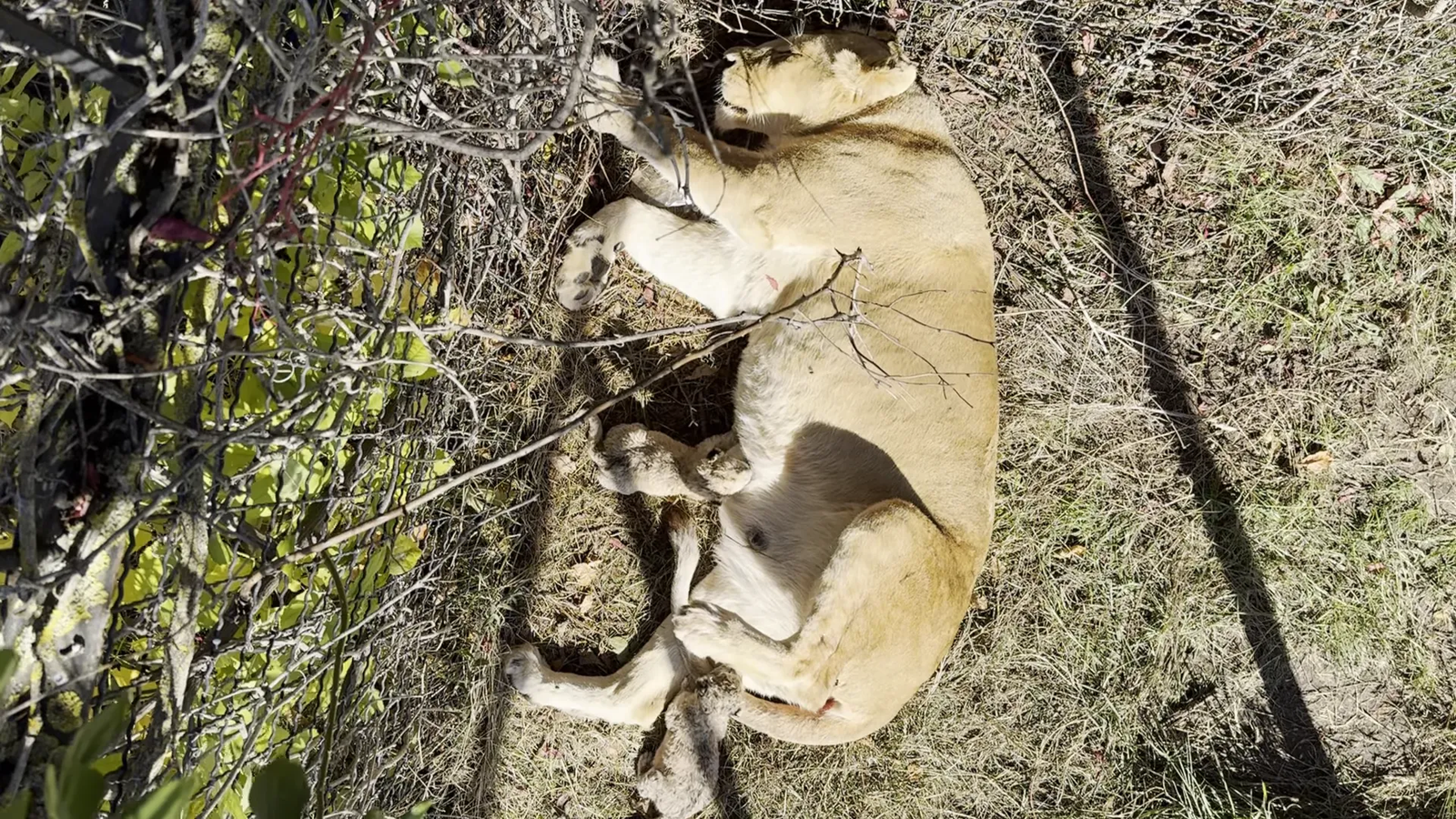 Signage for visitor safety at Taigan Park